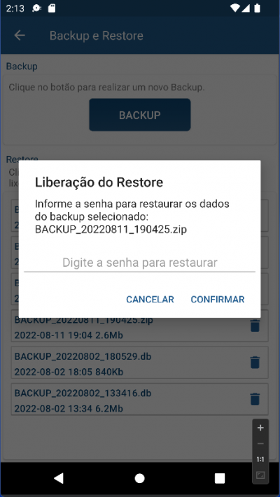 Liberação do Restore - Senha Especial.png