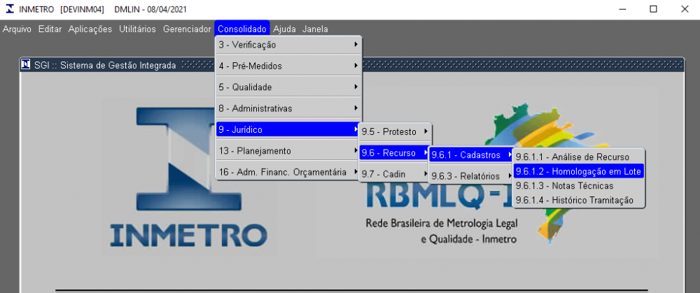 Homologação em Lote.PNG
