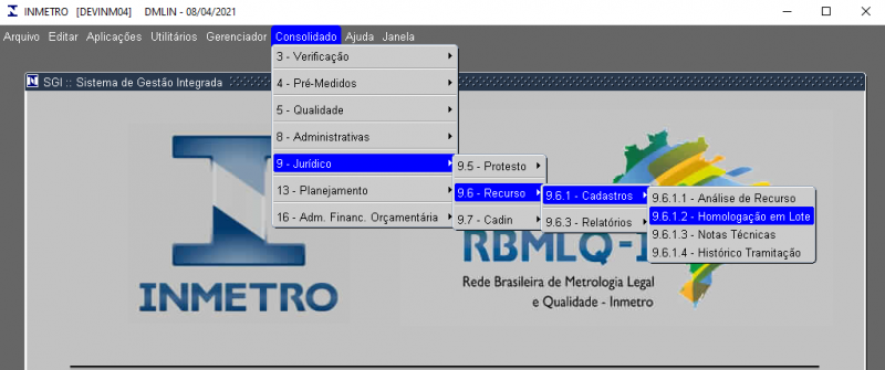 Homologação em Lote.PNG
